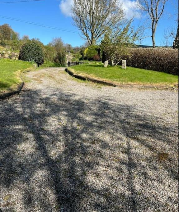 Villa Haven House à Wexford Extérieur photo
